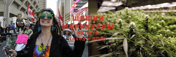 сатива Болотное