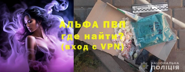 сатива Болотное