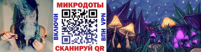 blacksprut tor  Брюховецкая  Псилоцибиновые грибы Cubensis 